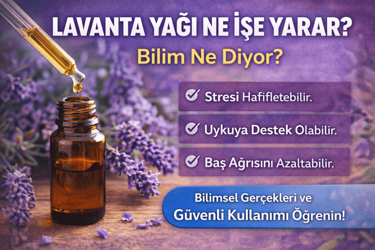 Lavanta Yağı Faydaları: Lavanta Yağı Ne İşe Yarar Bilim Ne Diyor?