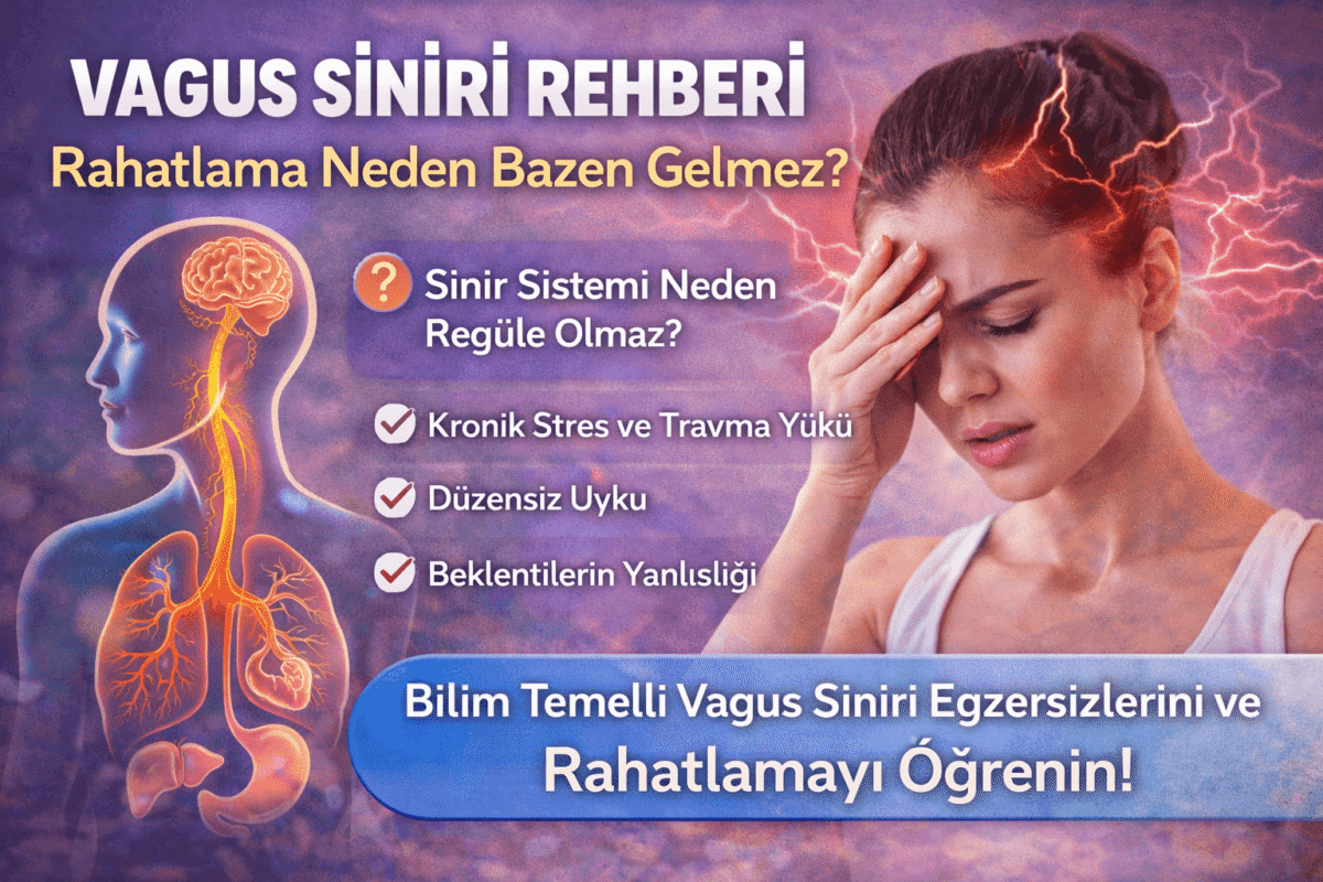 Vagus Siniri Rehberi: Rahatlama Neden Gelmez? Bilimsel Açıklama