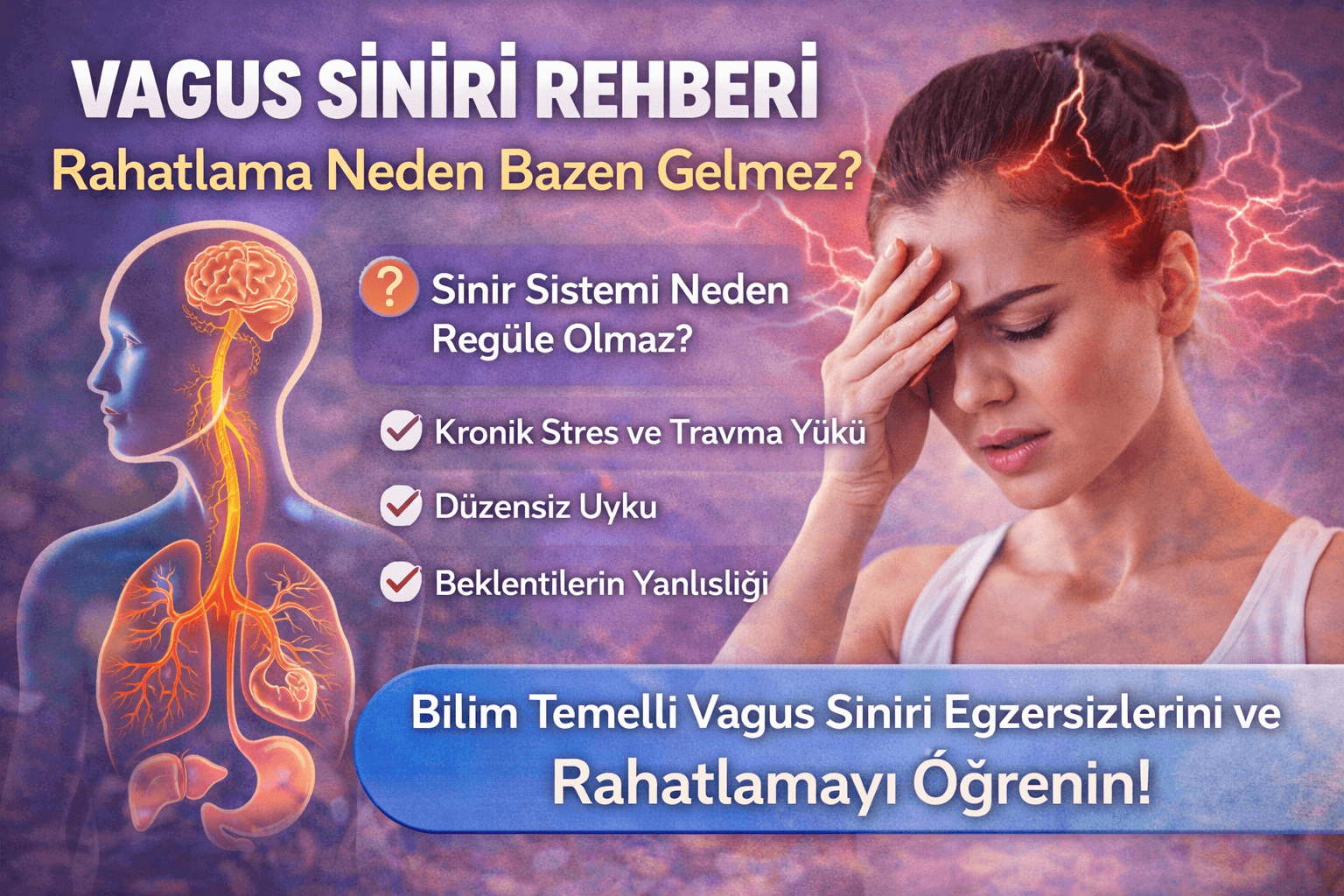 Vagus Siniri Rehberi: Rahatlama Neden Gelmez? Bilimsel Açıklama