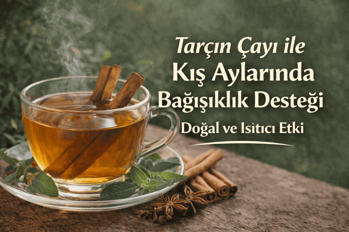 Tarçın Çayı ve Kış Aylarında Bağışıklık Desteği | Doğal ve Isıtıcı